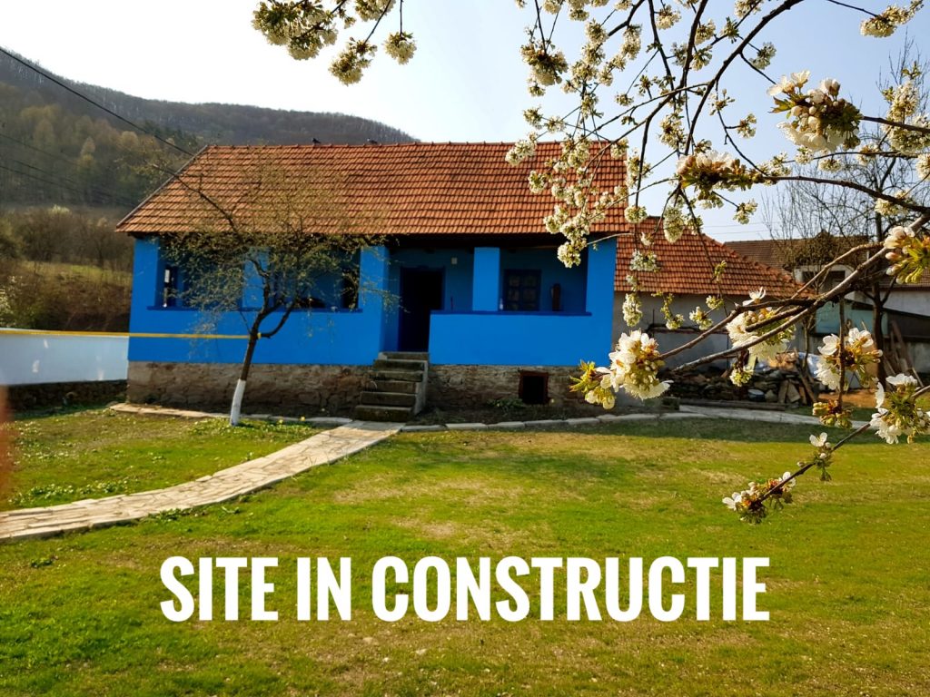 Site in constructie